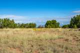 95 Grenfell Ranch & 30 Blue Agave - Photo 8