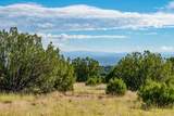 95 Grenfell Ranch & 30 Blue Agave - Photo 9
