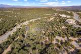 308 Pawprint Trail - Photo 16