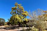 111 Camino Matias - Photo 2