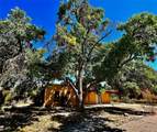 111 Camino Matias - Photo 27