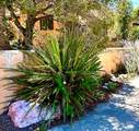 111 Camino Matias - Photo 28