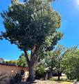 111 Camino Matias - Photo 32