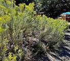 111 Camino Matias - Photo 33