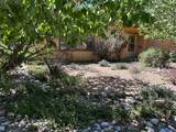 111 Camino Matias - Photo 45