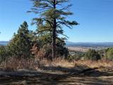50 Fawn Drive - Photo 17