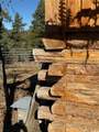50 Fawn Drive - Photo 24