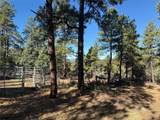 50 Fawn Drive - Photo 25