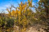 31 Loma Encantada - Photo 9