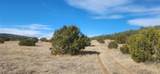 0 Parcel C Tract D - Photo 19