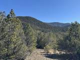 Tract 4 Verde Road - Photo 17
