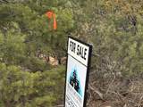 Tract 4 Verde Road - Photo 3