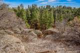 225 Rim Road - Photo 45