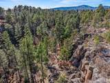 225 Rim Road - Photo 82