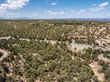 2959 Broken Sherd Trail - Photo 12