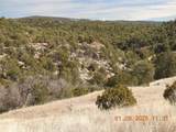 16 Calle Largo - Photo 16
