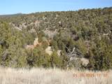 16 Calle Largo - Photo 17
