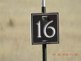 16 Calle Largo - Photo 5