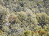 16 Calle Largo - Photo 59