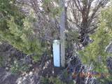 16 Calle Largo - Photo 6