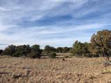 Tract 11 Anza Road - Photo 12
