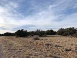 Tract 11 Anza Road - Photo 13