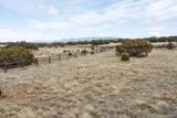 11 Buckskin Circle - Photo 13