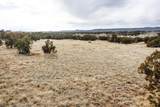 11 Buckskin Circle - Photo 17