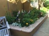 2756 Via Venado - Photo 5