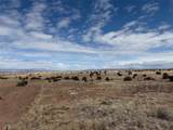 Lot 4 Camino Rufigio Roybal Road - Photo 4