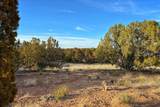 47 Saddleback Mesa - Photo 7