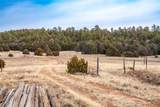 TBD Gabaldon Lane - Photo 23