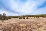 TBD Gabaldon Lane - Photo 31