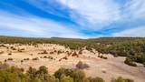TBD Gabaldon Lane - Photo 46