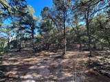 1412 Tesuque Creek Road - Photo 6