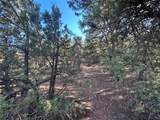 1412 Tesuque Creek Road - Photo 7
