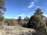TBD Us Hwy 84 - Photo 5