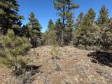 TBD Us Hwy 84 - Photo 6