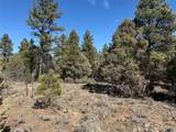 TBD Us Hwy 84 - Photo 7