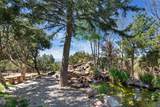 17 Tano West - Photo 26