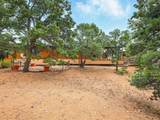 125 Apache Canyon Trail - Photo 34