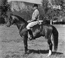 Rancho San Ignacio - Photo 15