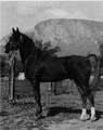 Rancho San Ignacio - Photo 20
