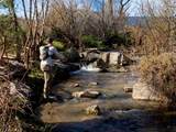 Rancho San Ignacio - Photo 25