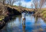 Rancho San Ignacio - Photo 29
