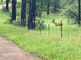 Rancho San Ignacio - Photo 30