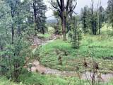 Rancho San Ignacio - Photo 36