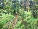 Rancho San Ignacio - Photo 44