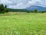 Rancho San Ignacio - Photo 45