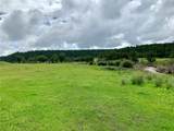 Rancho San Ignacio - Photo 5